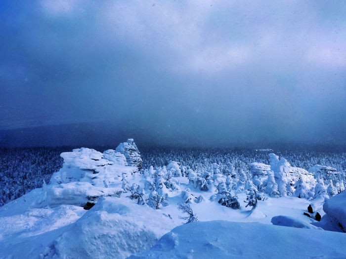  () winter version  ,  , ,  ,  , , 