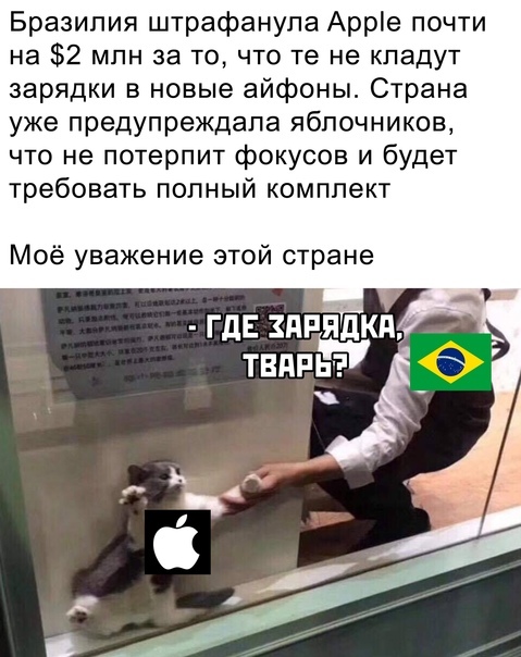 Красавцы - Бразилия, Штраф, Apple, Картинка с текстом, Новости, Кот, Мемы, Юмор