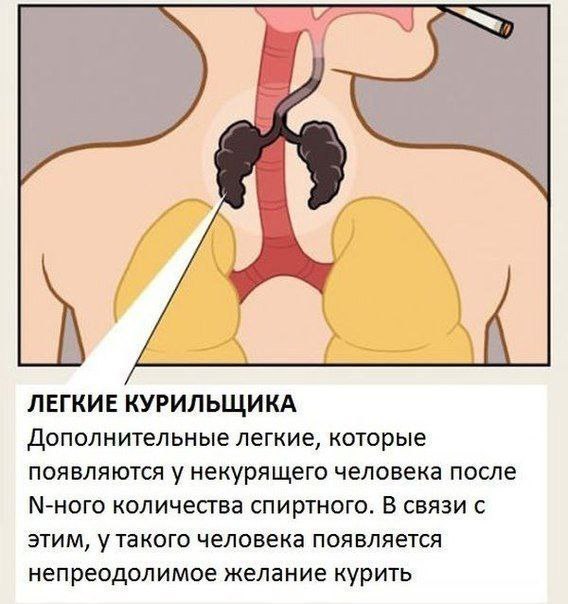 «Умный дом» «Яндекса»: сценарии и примеры