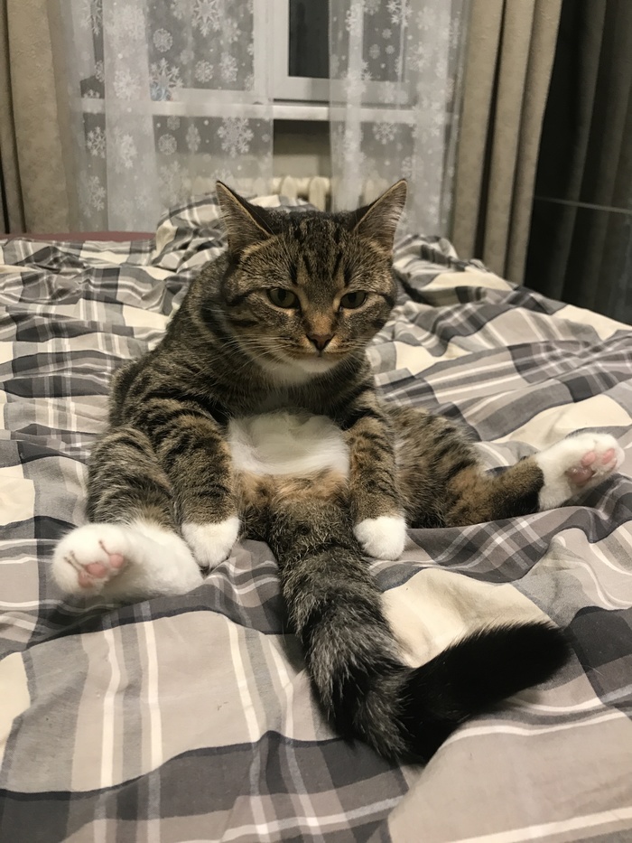 Начинаем рабочую неделю с новыми силами