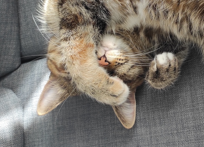 Видеть эту зиму больше не могу!