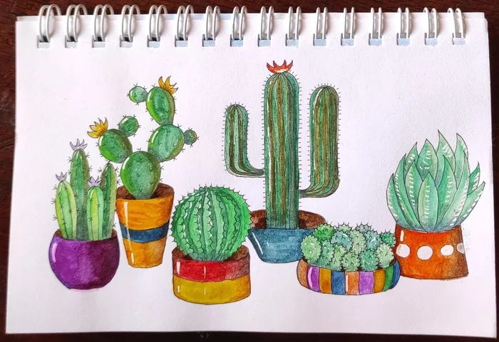 cacti - My, Drawing, Watercolor, Cactus, Graphics, Succulents, Learning to draw