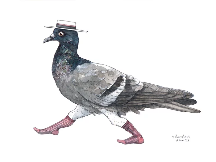 Pigeon - My, Illustrations, Drawing, Graphics, Watercolor, Sketch, Pigeon, Art, Birds, Legs