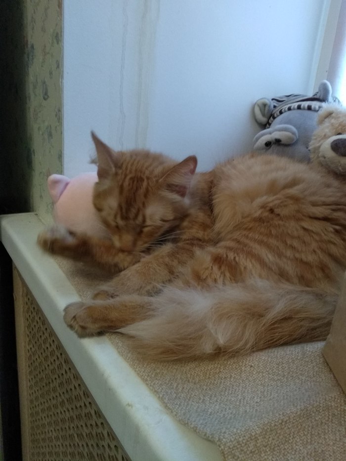 To-do ���� �� ���� �������