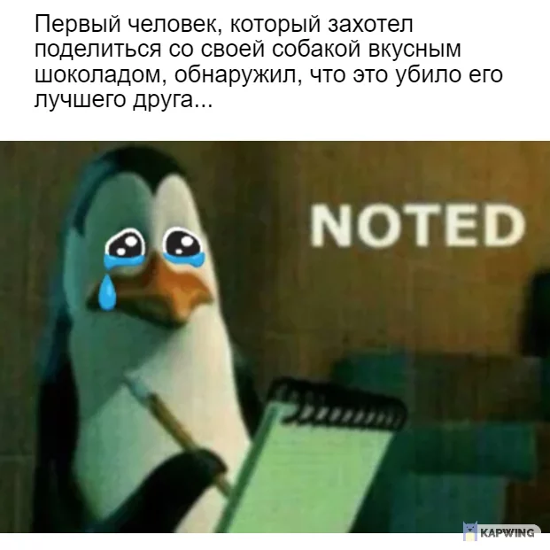 Всегда кто-то будет первым - Печаль, Мемы, Собака, Шоколад, Наука, Исследования, Картинка с текстом