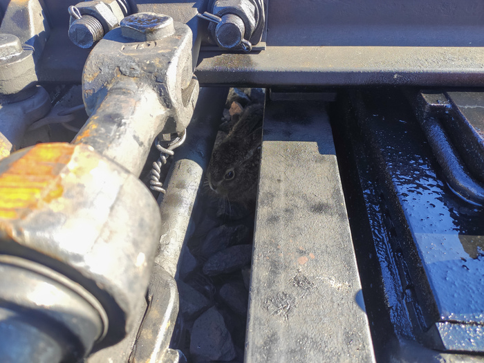 � ��� ��� ���� � �������