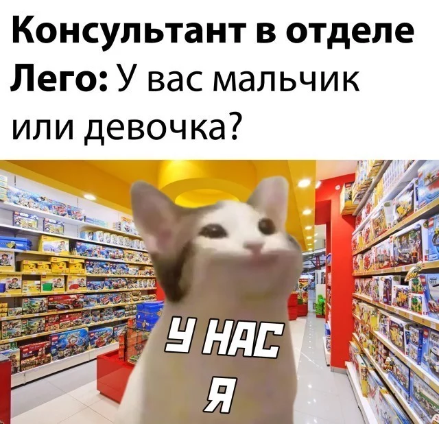 Для себя любимого... - Покупка, LEGO, Консультант, Картинка с текстом, Мемы, Pop Cat, Кот