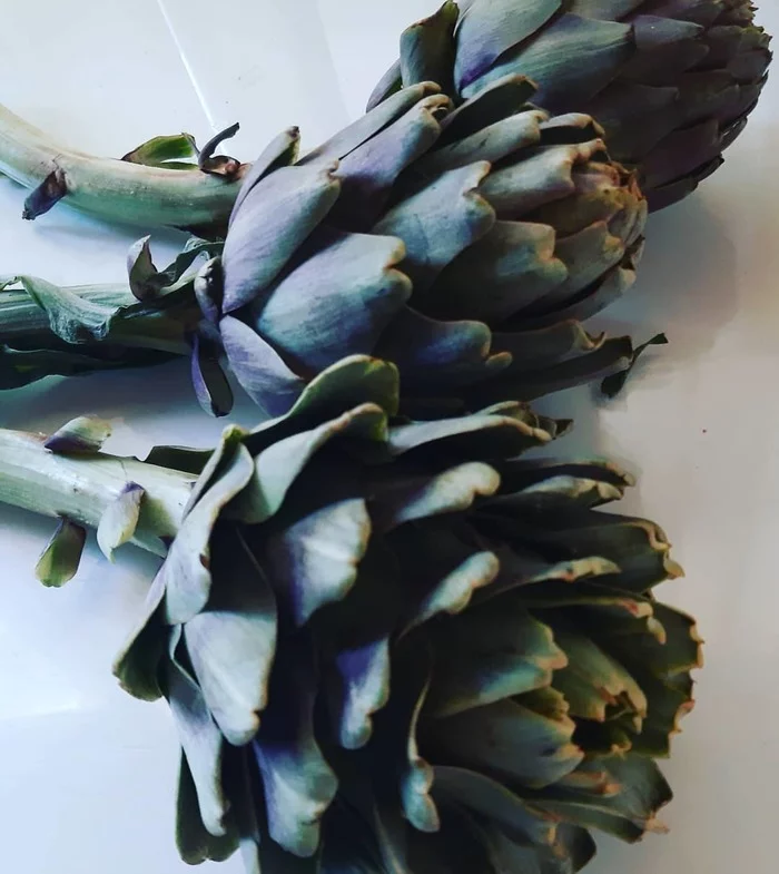 Cooking artichokes - Artichoke, Nutrition, Fancy food, Food, Gourmet, Vegetables, Flowers, Dish, Quickly, Longpost, Recipe, Cooking