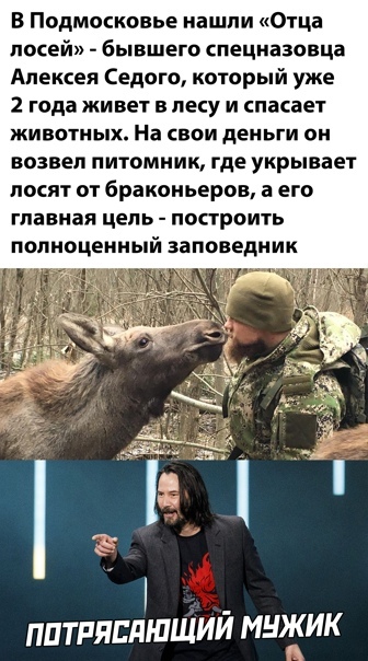 Hero of his time - Moscow region, Forest, Elk, Nursery, Special Forces, Picture with text, Memes, news