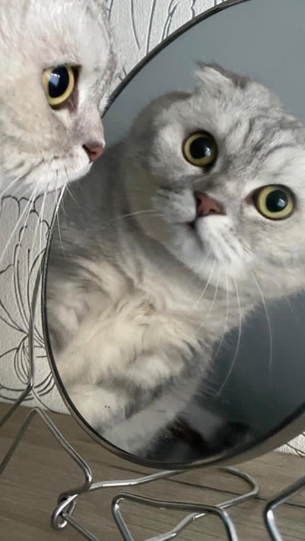 ������� � ����, ��� � �������, �� �������������� � ���� � ���...