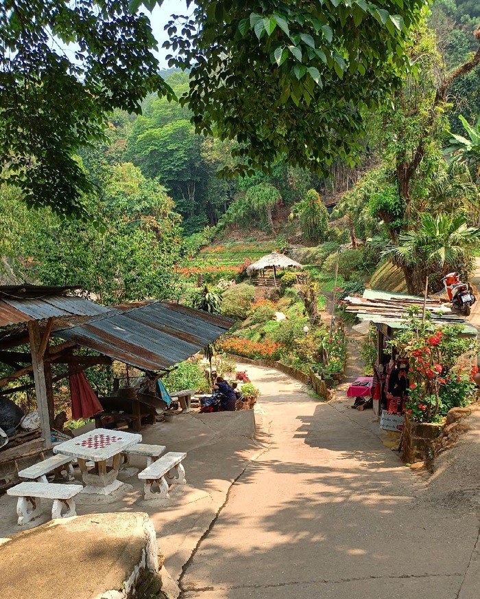 Как в Таиланде живут бесправные хмонги Таиланд, Чиангмай, Путешествия, Юго-Восточная Азия, Иммиграция, Жизнь за границей, Длиннопост