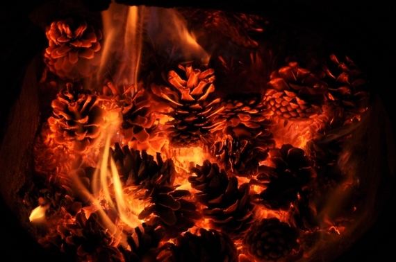 ������ ���������