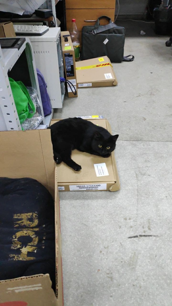 Ремонт ноутбуков. Как разводят москвичей уже 10 лет