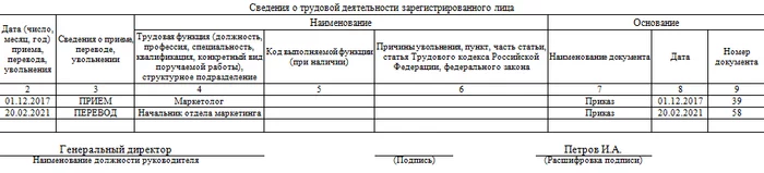 How to fill out the SZV-TD report when working with electronic work books - My, Small business, Own business, Entrepreneurship, Businessman, Law, Support, Business, Longpost, Проверка, Tax audit, Verification of documents, Employment history