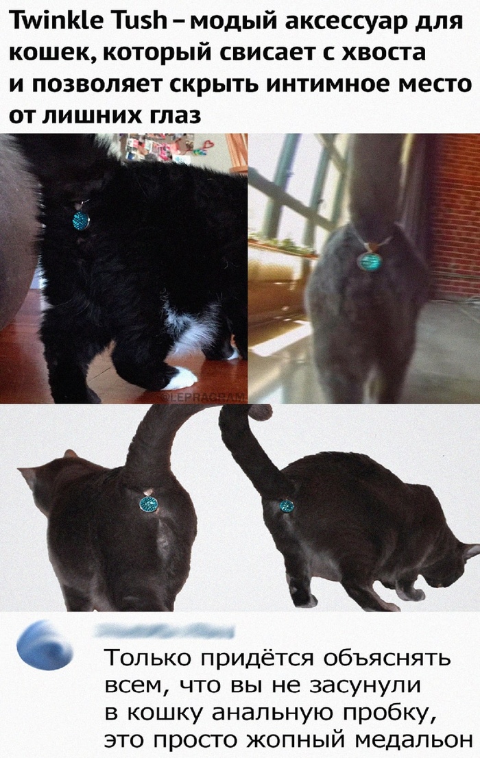 ������ ���������