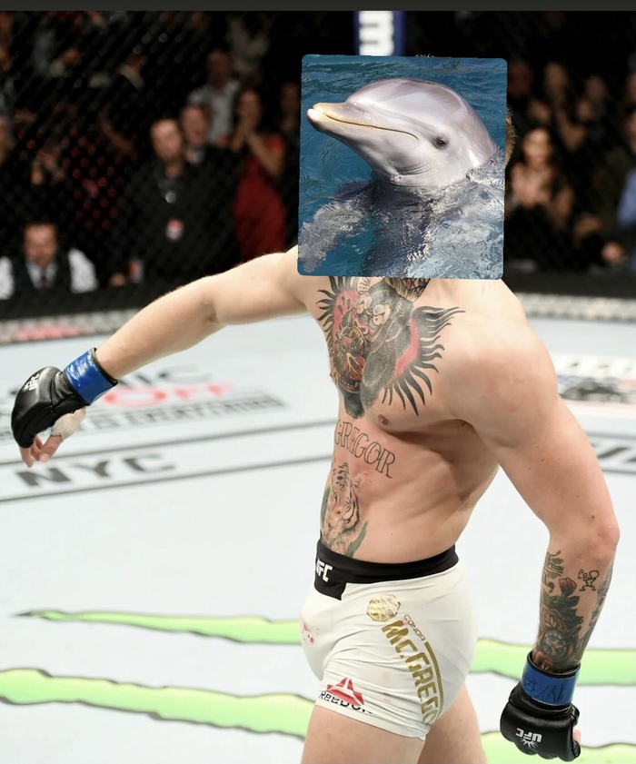 ����� �� ���� ����-������ ����� ����� �����?�