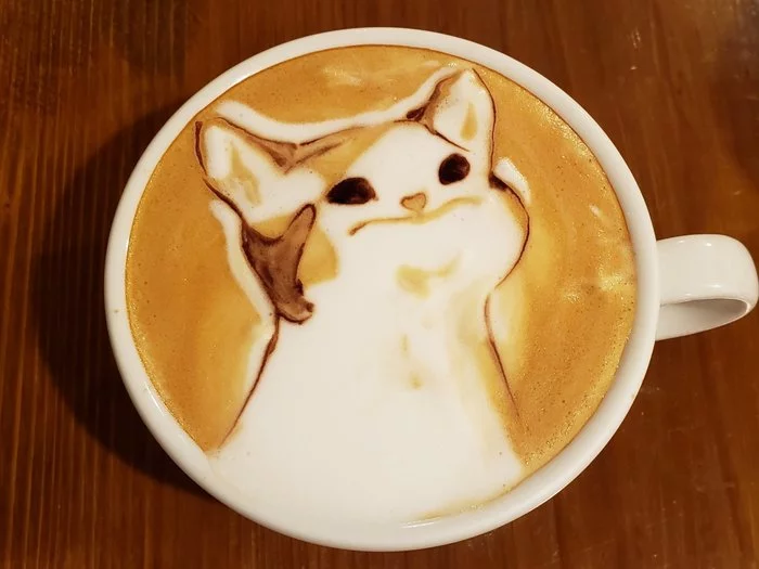 Pop-Cat - cat, Memes, Latte art, Longpost, Coffee, Humor, Pop Cat