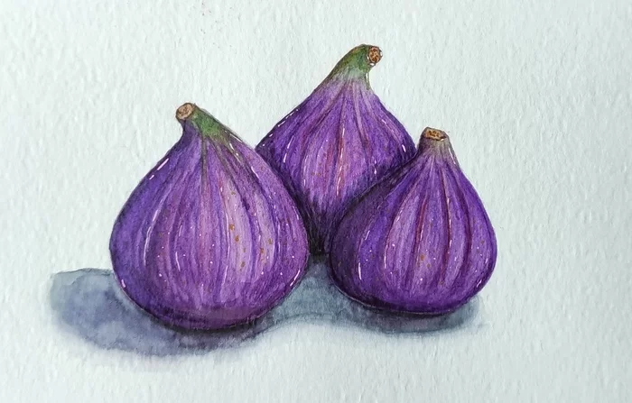 Figs - My, Watercolor, Drawing, Фрукты, Fig, Learning to draw