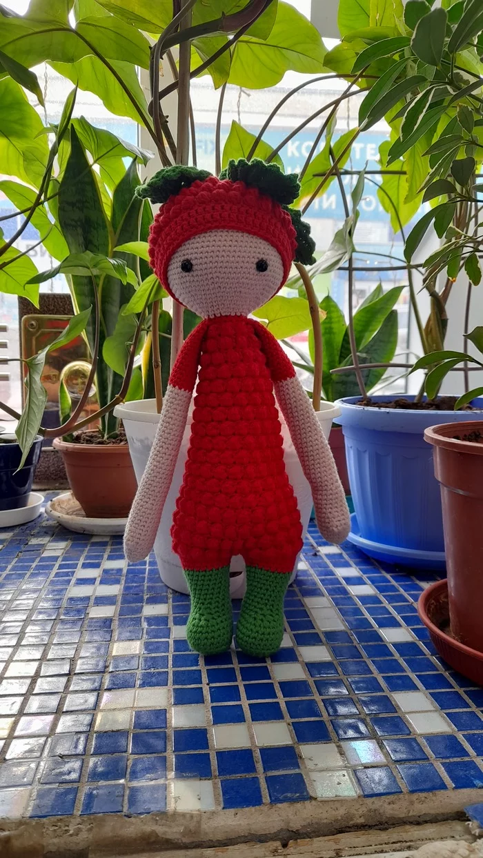 Mr. Malinkin - My, Needlework without process, Knitted toys, Handmade, Crochet, Lalilala, Raspberries, Longpost