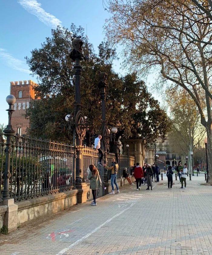 Spring officially begins in Spain on March 21 - My, Ciutadella Park Barcelona, Spain