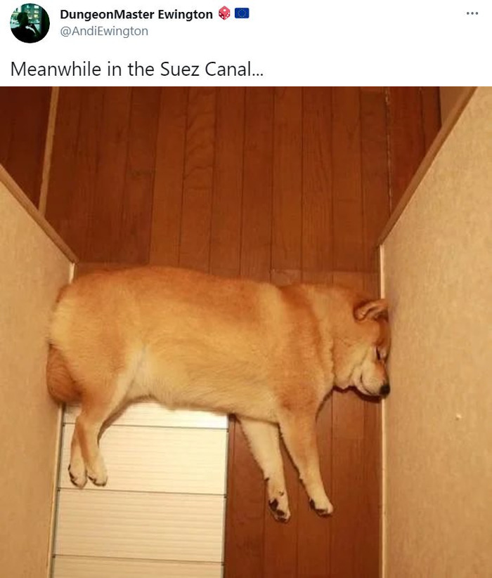 Тем временем в Суэцком канале