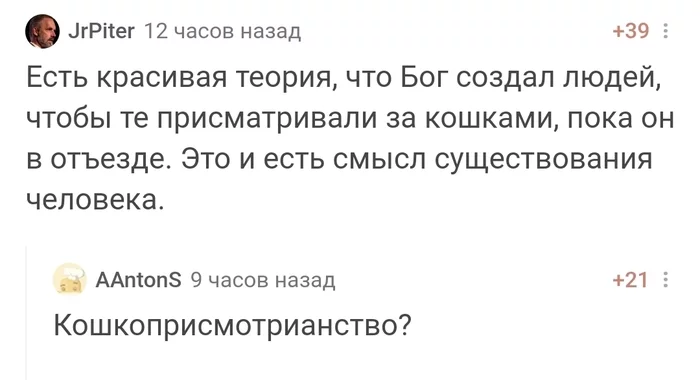 Кошкоприсмотрианство - Кот, Юмор, Религия, Скриншот, Длиннопост, Комментарии на Пикабу