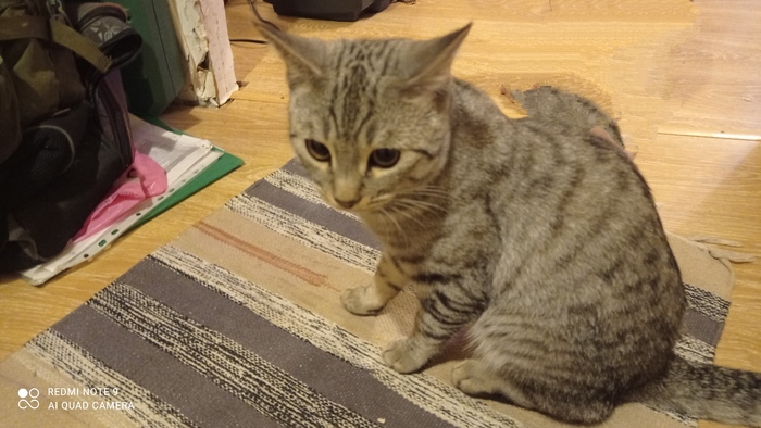    ,   ,  , , , ,  