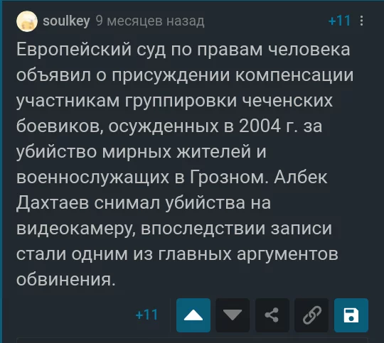 Еще раз о ЕСПЧ - ЕСПЧ, Скриншот, Комментарии на Пикабу, Политика, Длиннопост, Баски, Арабы, Чеченцы