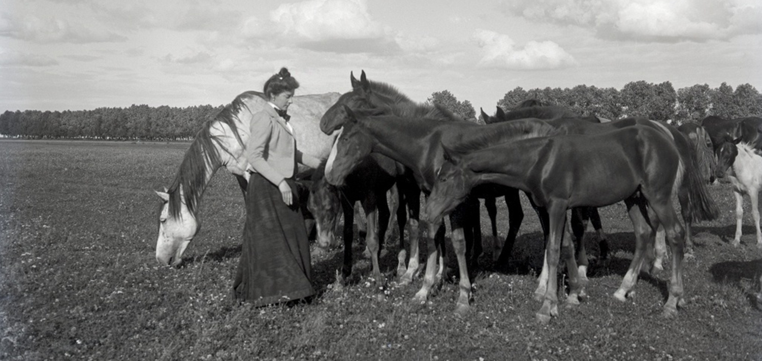 Какими были домашние животные 100 лет назад | Пикабу