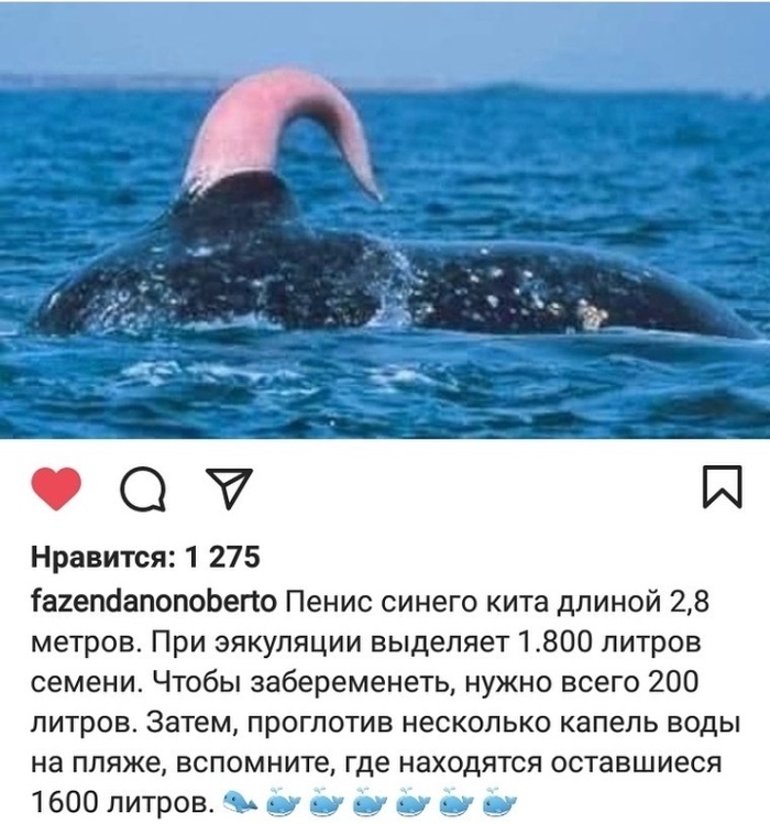    ,  , , 
