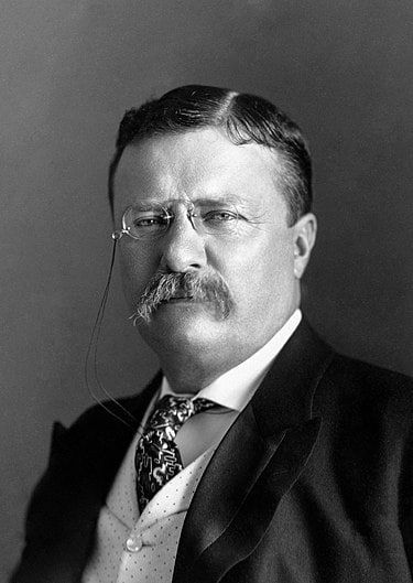 A tricky but brave decision! - Assassination attempt, Theodore Roosevelt, Hunter, Experience, Cunning