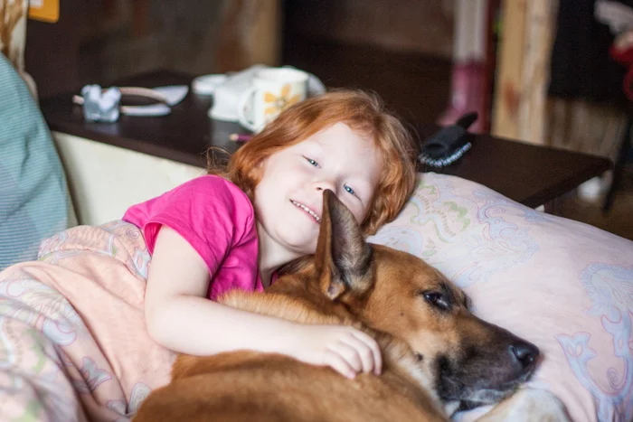 redhead friends - My, Dogs and people, Dog lovers, Dog, Children, Redheads, The photo