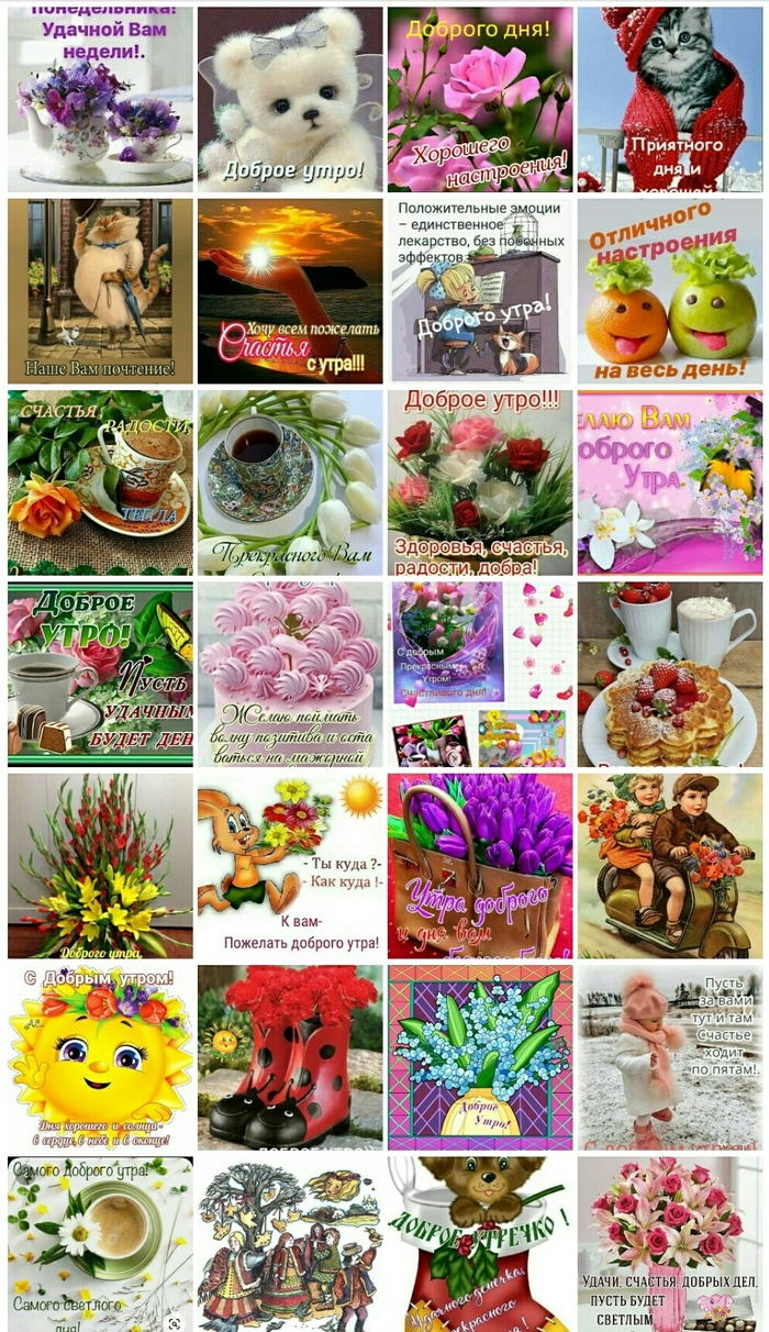 ������������� �������� - ���������