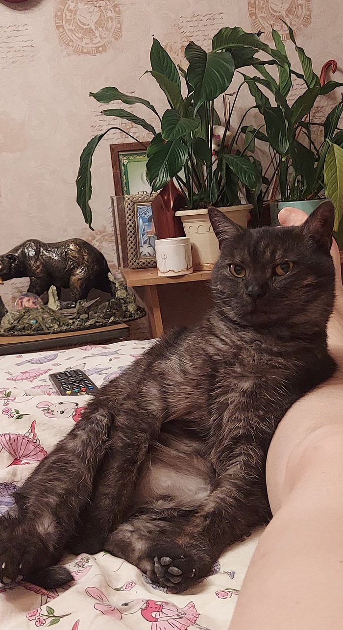 "    " ( ) ,  , 