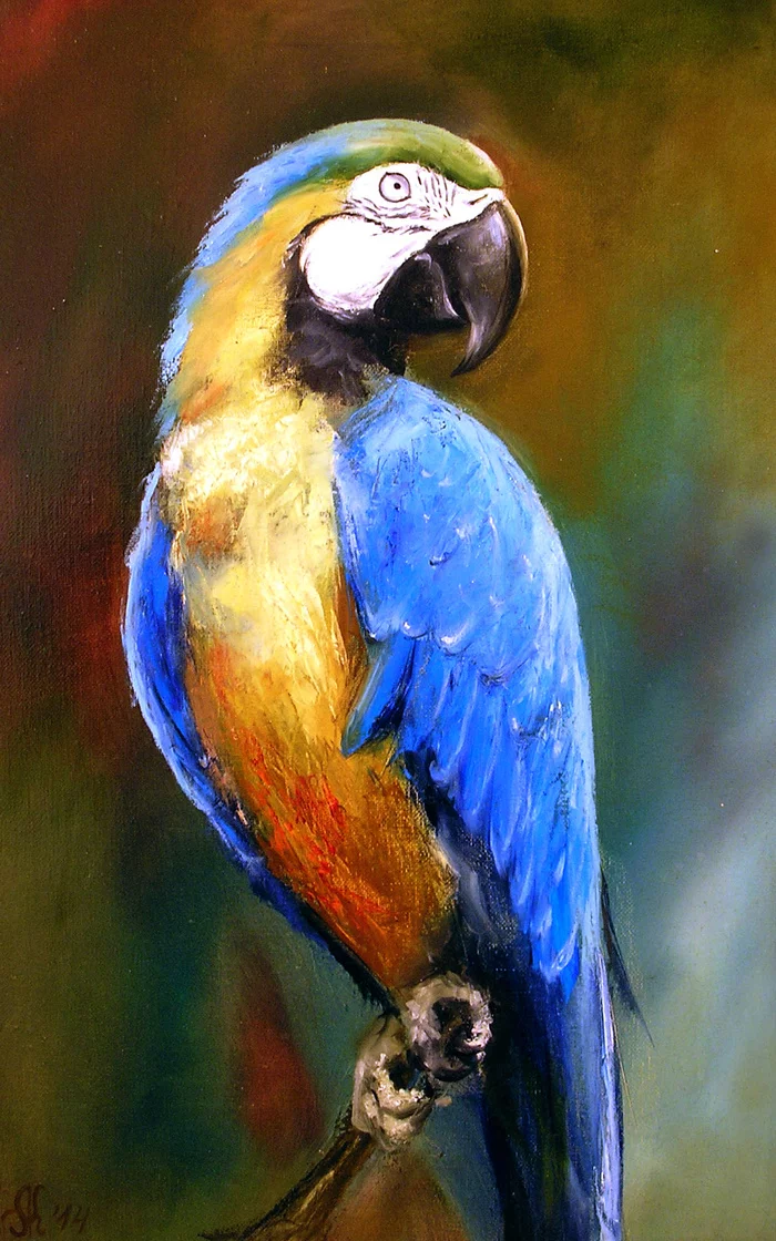 Ara - My, A parrot, Painting, Oil painting, Birds, Macaw parrots