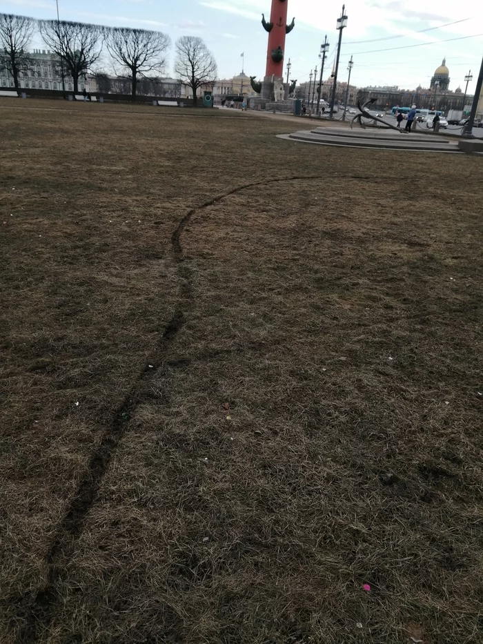 Why think when you don't have to think. Motorcyclist and lawn, sad story - Vandalism, No rating, Rudeness, Moto, The appeal, Saint Petersburg, Video, Longpost, Lawn, Screenshot, Negative