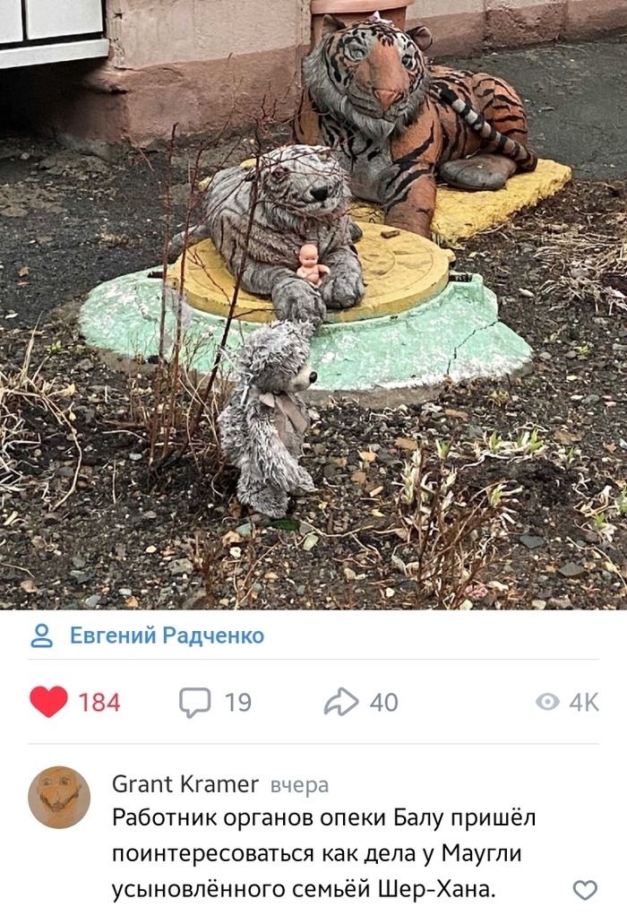             - , , -, 