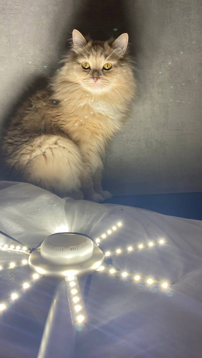 ��� � ������