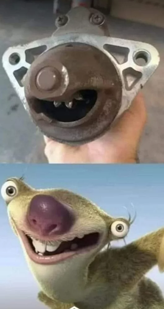 So that's where I saw you! - Starter, Similarity, Sloth, ice Age, Pareidolia, LED