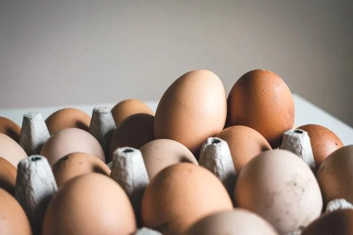 Is it true that egg shells should be washed before cooking to prevent salmonellosis? - My, Safety, Salmonellosis, Eggs, Hen, Проверка, Fight against pseudoscience, Arguments and Facts, Риа Новости, , Infection, Bacteria, Infection, Longpost