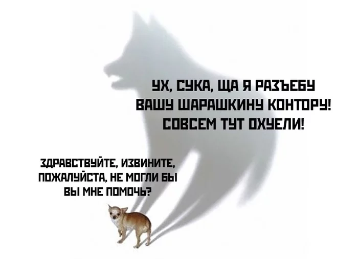 На словах ты Лев Толстой - Картинка с текстом, Интроверт, Мемы, ВКонтакте, Собака