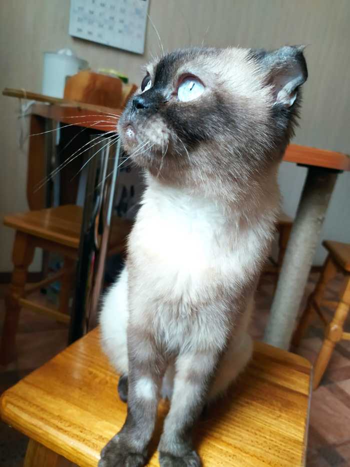 �� ��� ��������, � ������))) �������!!!!