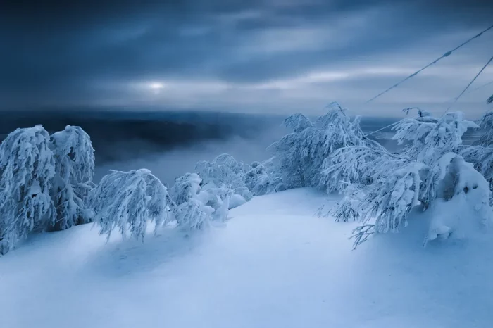 Cloudy morning - My, dawn, Morning, The clouds, The photo, Winter, Snow, freezing, Tree, Landscape, Ural, Perm Territory