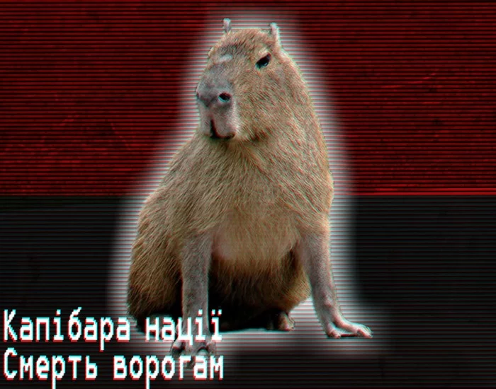 Capybara - My, Politics, Memes, Art