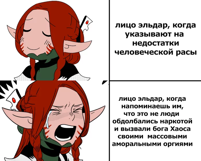 Oh, those pointy ears! - Warhammer 40k, Wh humor, Crossover, Dungeon Meshi, Memes, Eldar, Translated by myself