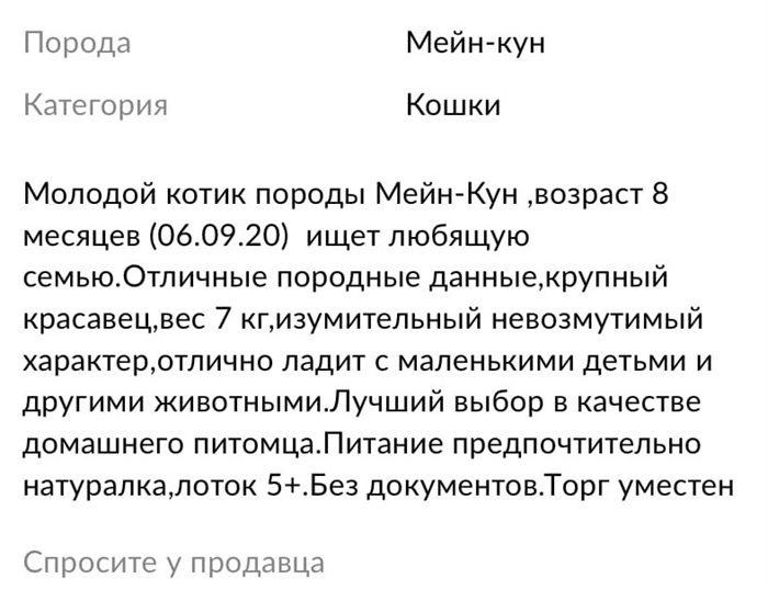 Как написать что нужен котенок. Смотреть фото Как написать что нужен котенок. Смотреть картинку Как написать что нужен котенок. Картинка про Как написать что нужен котенок. Фото Как написать что нужен котенок