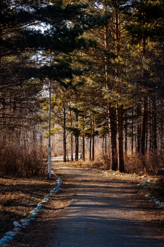 Somewhere in Southern Siberia... - My, Russia, Siberia, Landscape, Nature, Walk, Spring