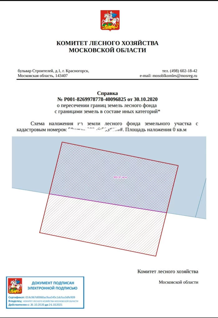 How the forest came over us... - My, Cadastral registration, Problem, Land plot, Moscow region, Forest, Court, GIF, Longpost