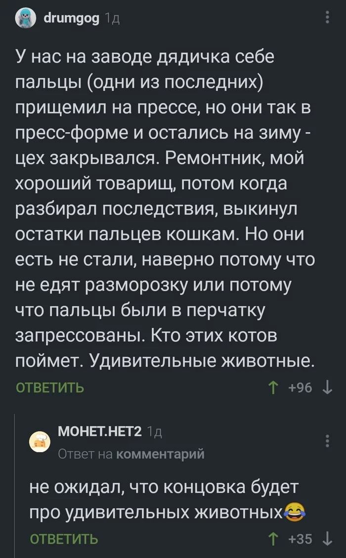 Вам бы сценарии писать - Техника безопасности, Травма, Скриншот, Длиннопост, Комментарии на Пикабу, Кот