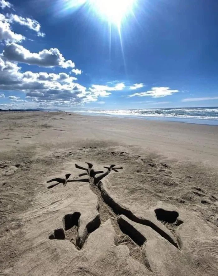 Здесь были Хитрый койот и Дорожный бегун